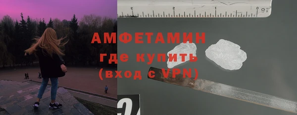 сатива Тольятти